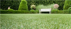 Our Ludus artificial grass is our most vibrant and fresh-looking artificial turf, using lighter yarns to create a family lawn that’s equally good for garden parties and playtime. With an even, medium pile, Ludus is easy to maintain. With Namgrass Ludus, you won’t have to worry about scrubbing muddy shoes or removing stubborn grass stains, so you can concentrate on having fun.