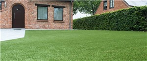 Make every day seem like the first day of spring with our vibrant Exbury Bright Artificial Grass. With a dense thatched construction, deep pile and fresh-looking fibres, this is the perfect choice for a high-traffic, family garden.