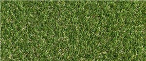 Take off your shoes and let your toes sink into our super-soft Pragma. Its anti-shine technology paired with its deep curled thatch and rich-multitoned fibres, makes Pragma the perfect choice for an affordable luxury artificial lawn and ideal for anyone that wants to spend lots of time in their garden.